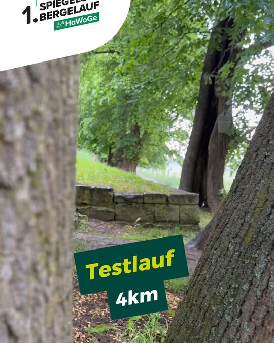 25 Läuferinnen und Läufer. 🌧️
0 Ausreden. 😎

Trotz Dauerregen wurde unser 4-km Social Run am Sonntag erfolgreich...